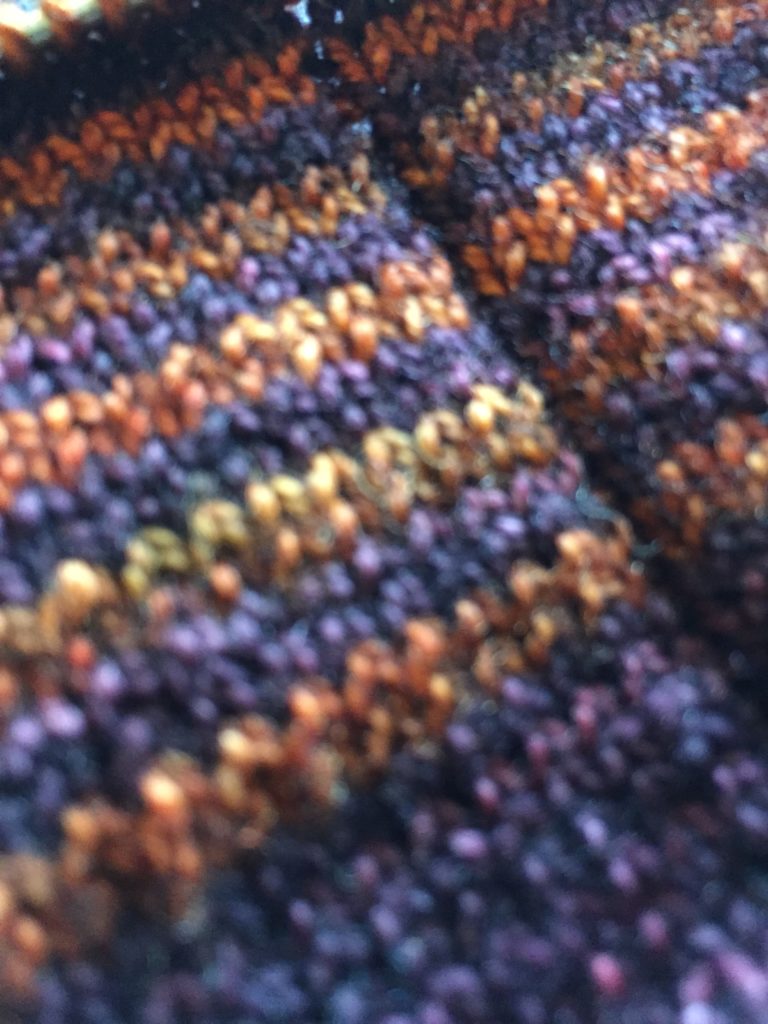 Heel Stripes from Gentleman's Sock in Railway Stitch